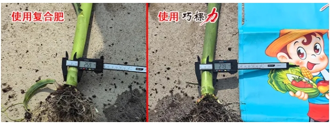 微信截图_20240812084439.png