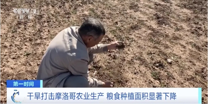 微信截图_20240812084833.png