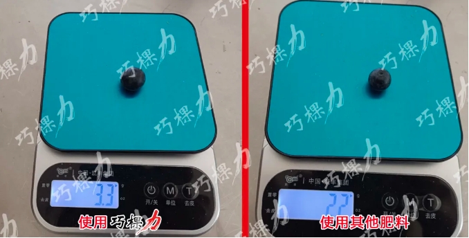 微信截图_20240813083350.png