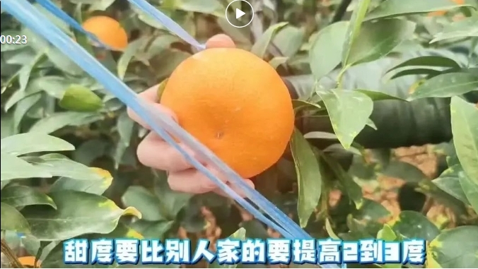 微信截图_20240813102713.png