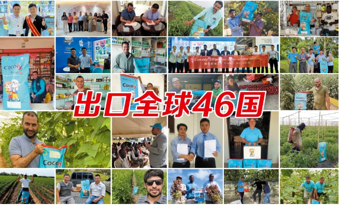 微信截图_20240813102929.png