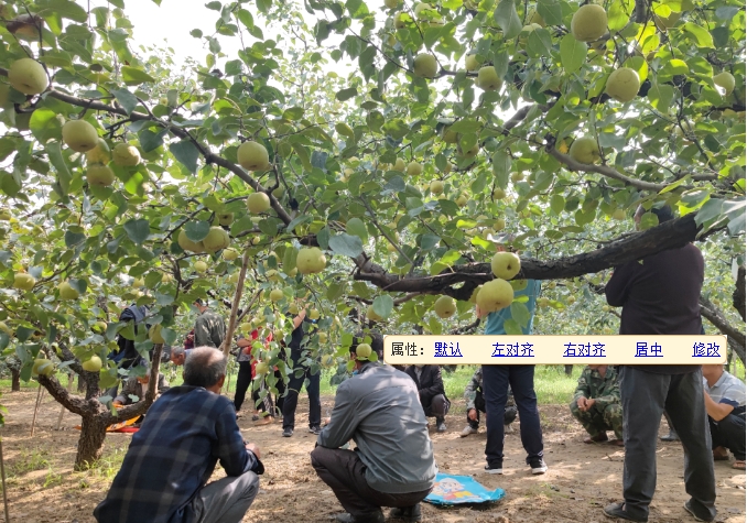 微信截图_20240813105759.png