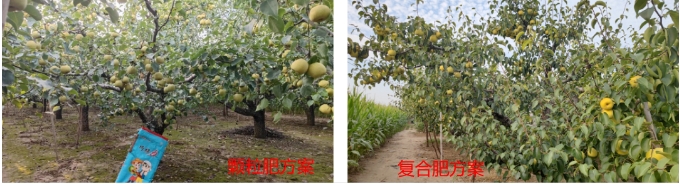 微信截图_20240813105816.png