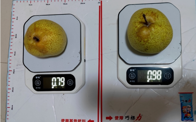 微信截图_20240813105824.png
