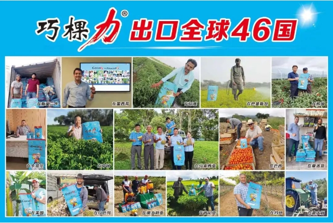 微信截图_20240813105844.png