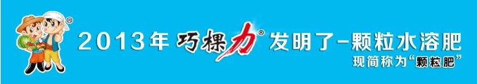 微信截图_20240813110215.png