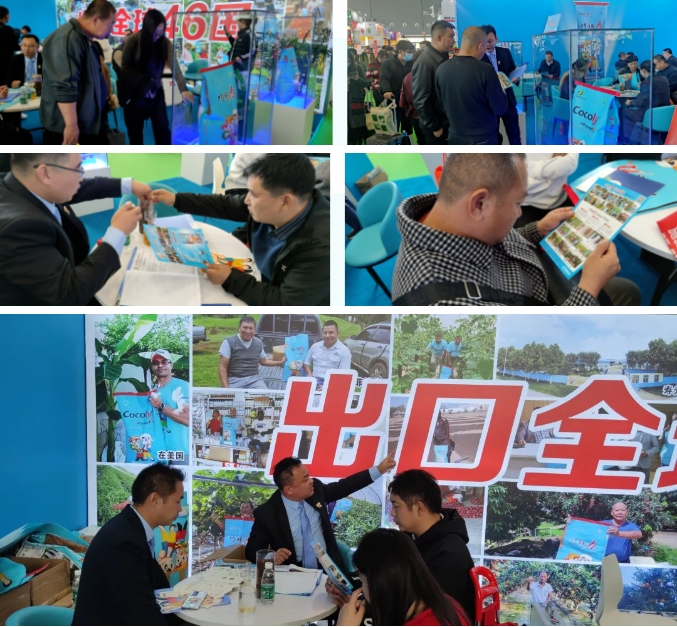 微信截图_20240813110808.png